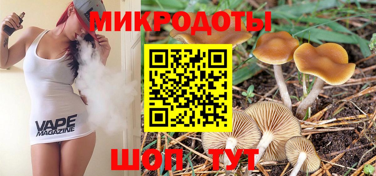 Вичуга  Псилоцибиновые грибы Psilocybe  Вход с VPN 
