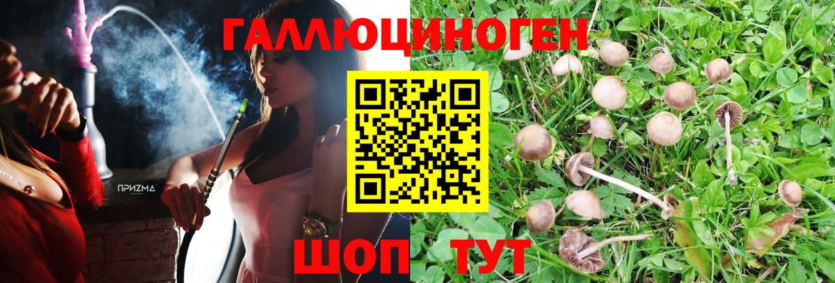 Псилоцибиновые грибы Magic Shrooms Вичуга